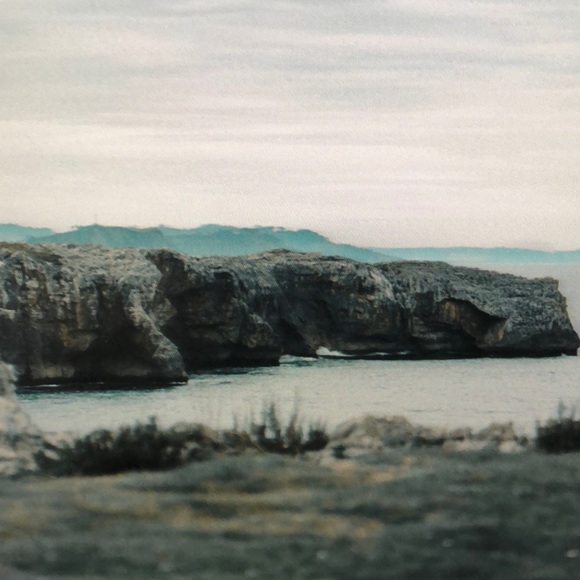 Meet your Posher, Forrest - Picture 1 of 1